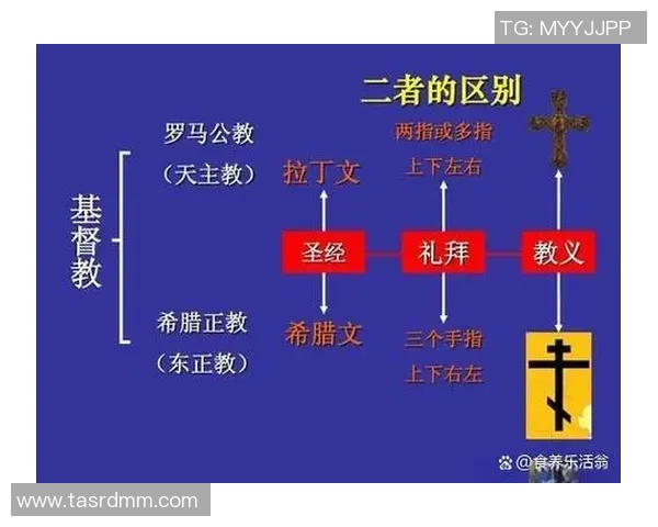 普R斯与拿加沙的对决:历史背景与未来走向的深度剖析 普R斯与拿加沙的对决:历史背景与未来走向的深度剖析